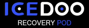 ICEDOO LOGO